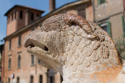 Close-up of lion statue against built structure