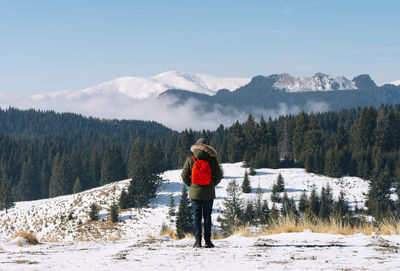 Rear view of man standing on snowcapped mountain