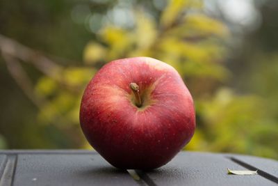 Close-up of apple