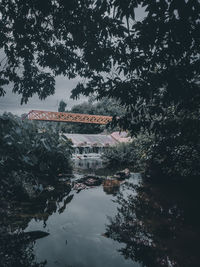 Reflection of trees in river against sky