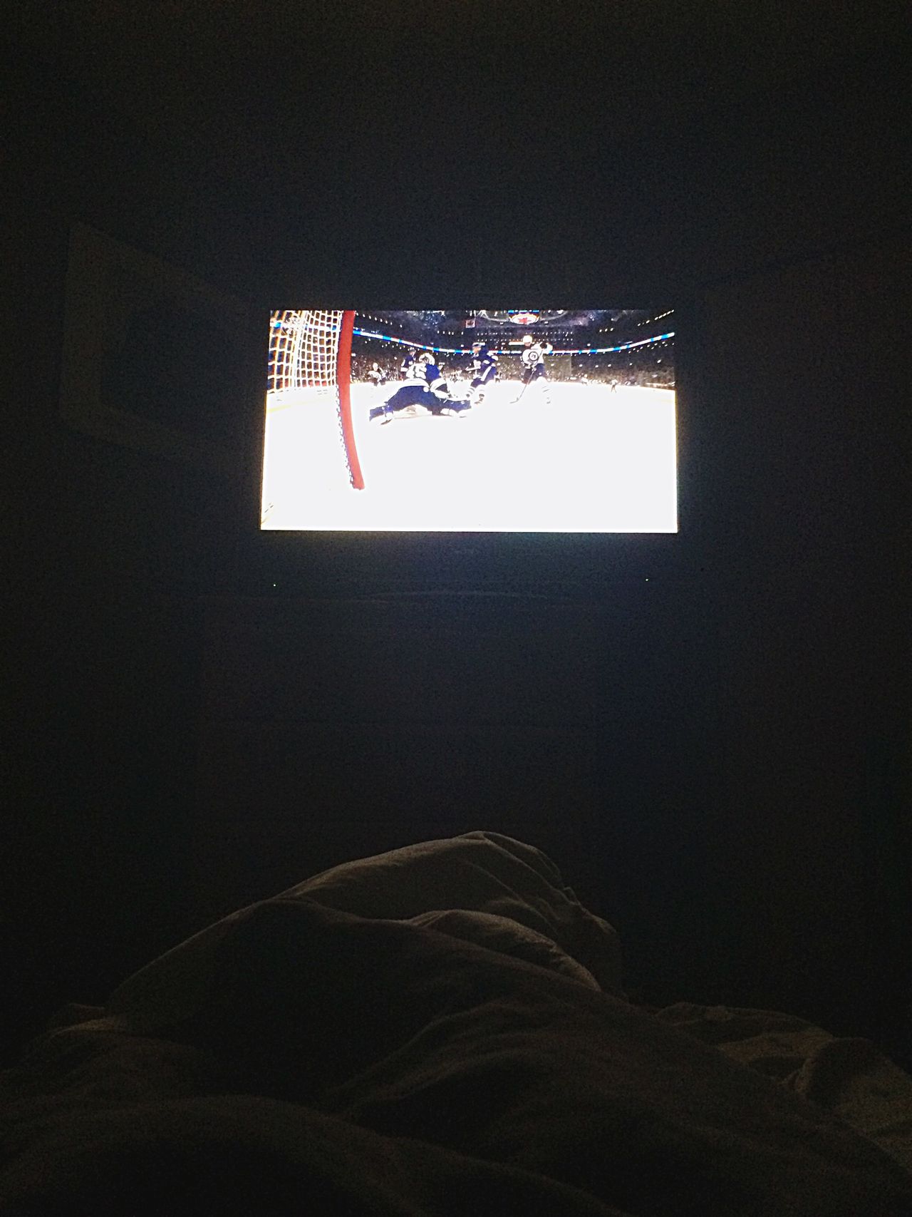 Watching the hockey game