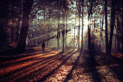Silhouette man walking in forest during autumn