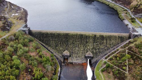 High angle view of river amidst trees