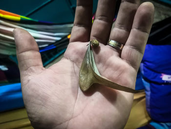 Close-up of man working