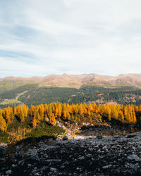 Scenic view of landscape against sky