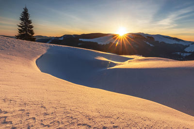 The beauty of winter on the snowy mountains, on a foggy morning in rodnei mountains - romania