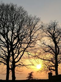 Low angle view of silhouette trees against sky during sunset