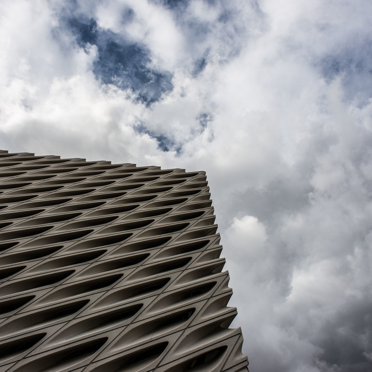 Thebroad