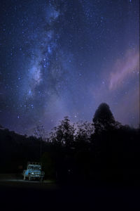 Low angle view of silhouette trees against sky at night