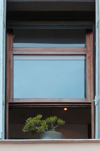 Low angle view of window of building with a potted plant on the sill 