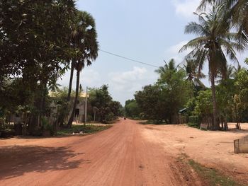 Dirt road amidst palm trees against sky