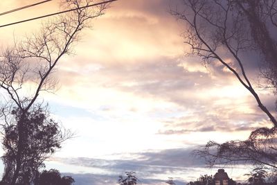 Low angle view of silhouette trees against sky