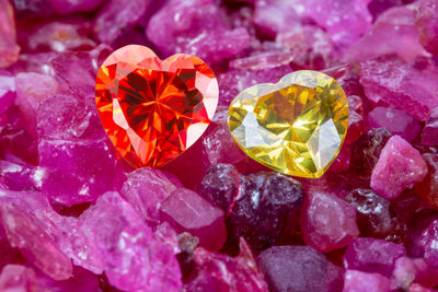 Full frame shot of multi colored petals on rock