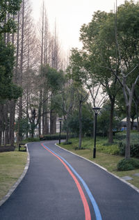 Road amidst trees against sky
