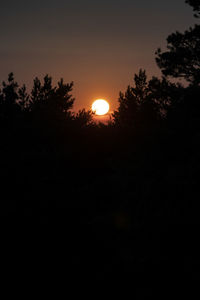 Silhouette trees against sky during sunset