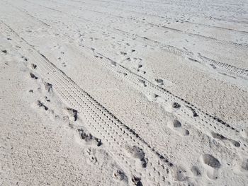 High angle view of footprints on sand