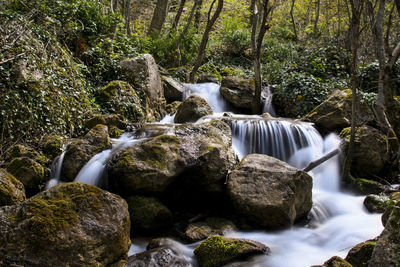 View of waterfall in forest