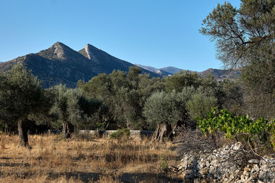 Scenic view of mountains against clear sky