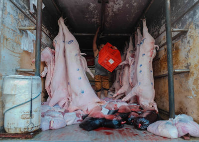Person standing next to dead pigs in butcher shop