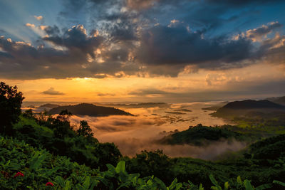 Sunrise over a mountain valley. beautiful image of green valley near river in a natural summer.