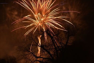 Low angle view of firework display at night