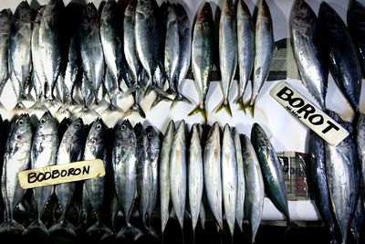 Directly above shot of fishes for sale in market stall