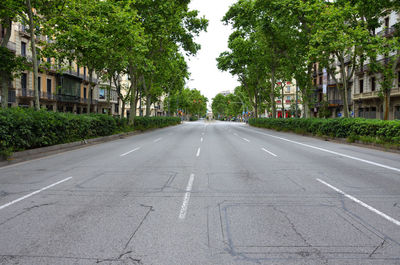 Road amidst trees and buildings in city