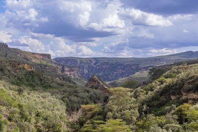 environment