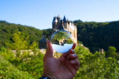 Cropped image of person holding plant against trees