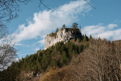 Ravna stena - tara mountain - serbia