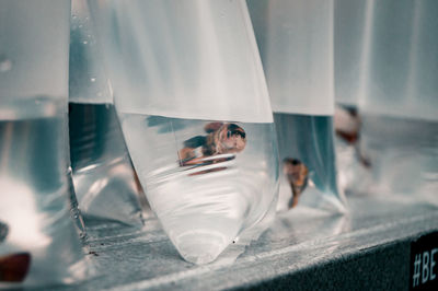 People relaxing in swimming pool