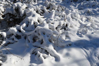 High angle view of snow on field during winter