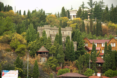 Houses in a town