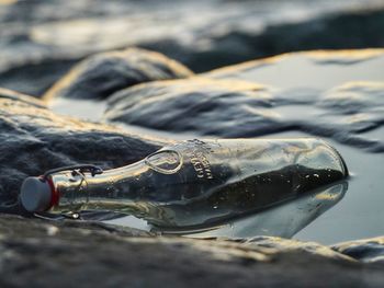 Close-up of water drops on glass bottle