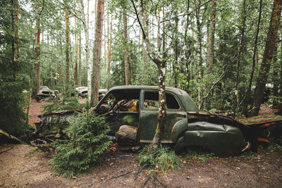 Car on field in forest