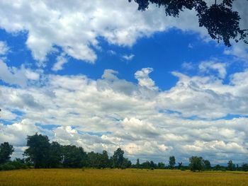 Scenic view of field against sky