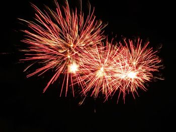 Low angle view of firework display against sky at night