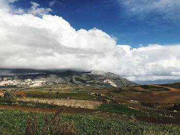 Scenic view of field against sky