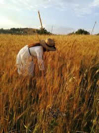 Woman working on agricultural field against sky