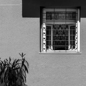 Close-up of potted plant on window of house