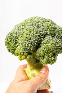 Close-up of hand holding leaf over white background