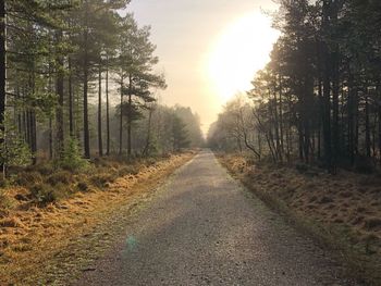 Road amidst trees in forest against sky