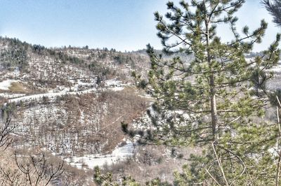 Scenic view of snow covered landscape