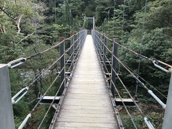 Bridge in forest