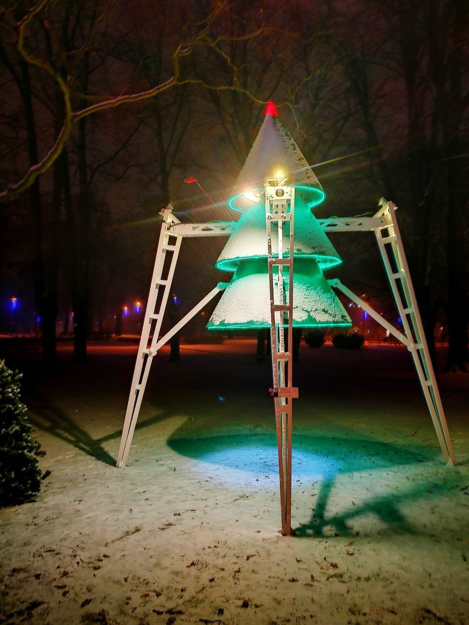 ILLUMINATED STREET LIGHTS IN PARK DURING WINTER