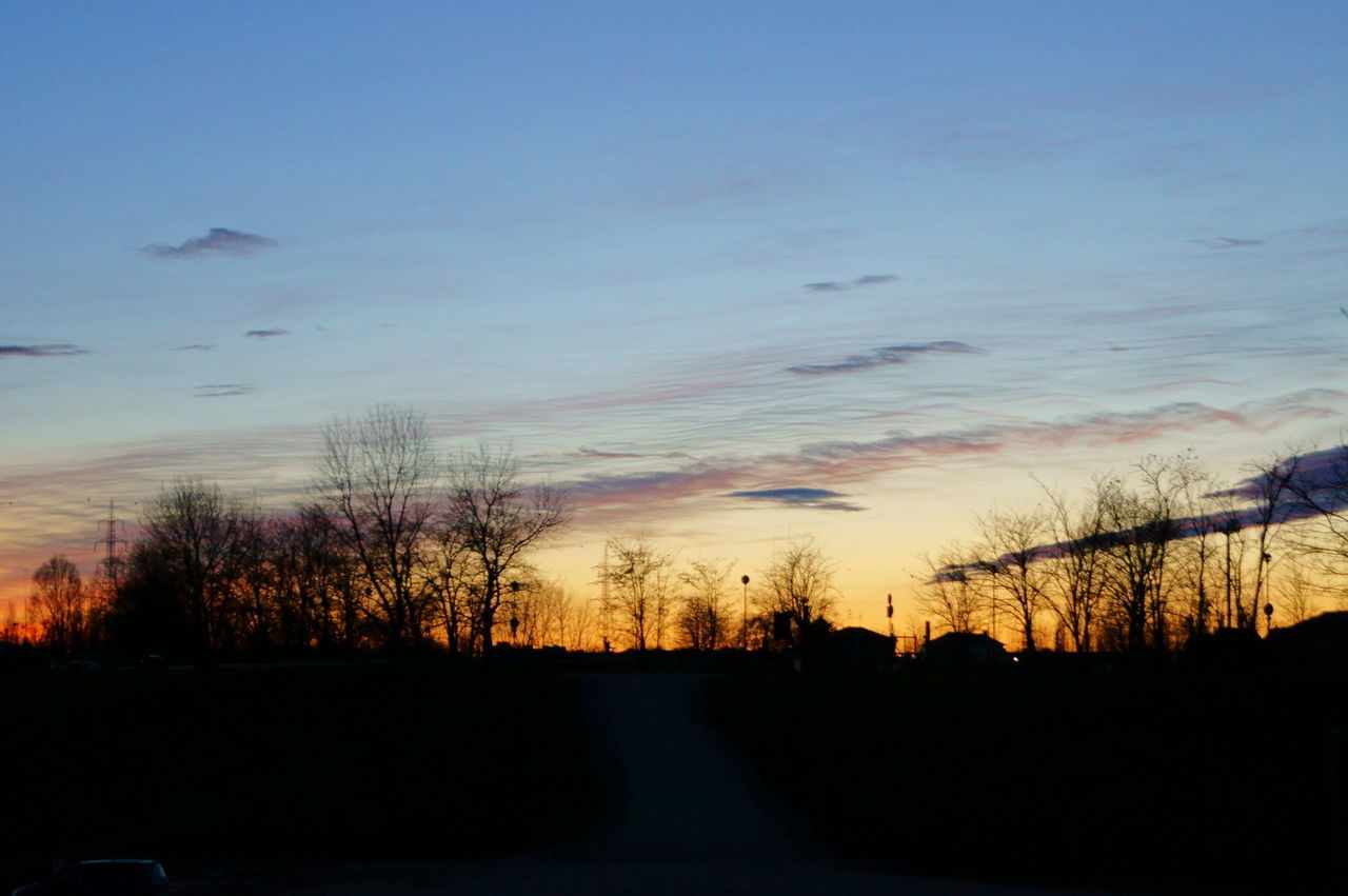 SILHOUETTE OF ROAD AND TREES AGAINST SKY