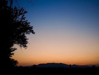 Silhouette trees against clear sky at sunset