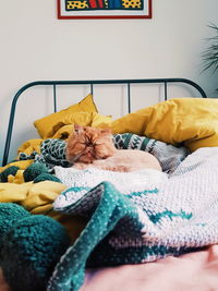 Cat sleeping on bed at home