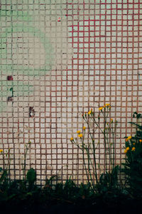 Full frame shot of wall