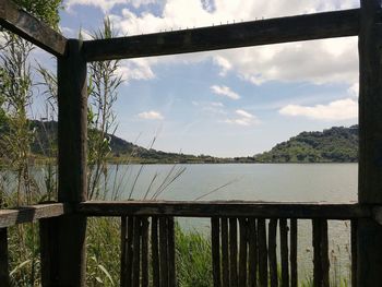 Close-up of tree by sea against sky